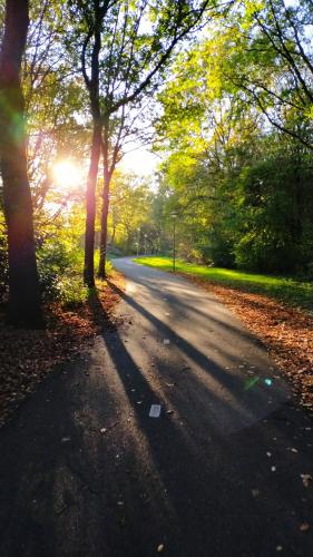 Sun warmth on a beautiful autumn day 🍂☀️