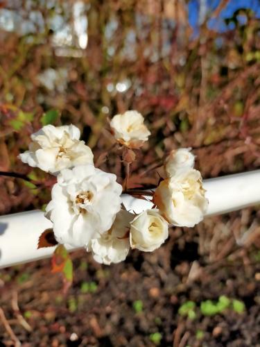 Een heeeerlijk zonnige dag vandaag!