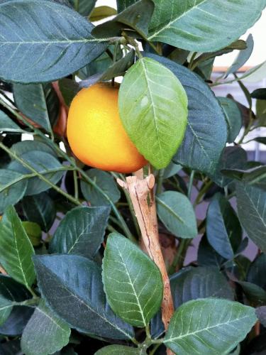 Een heeeerlijk zonnige dag vandaag!