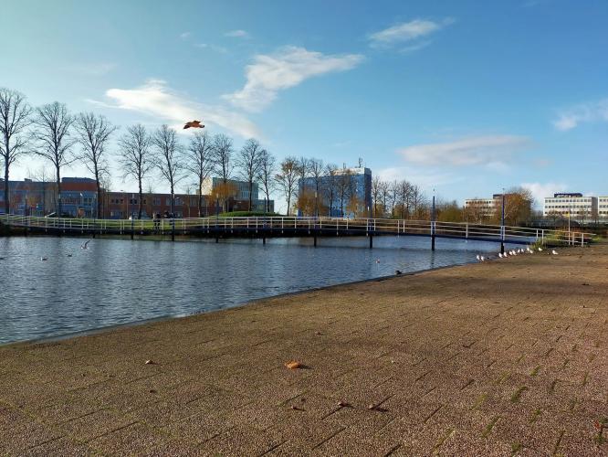 Een heeeerlijk zonnige dag vandaag!