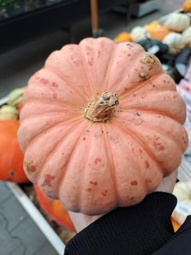 Herfst challenge dag 1 🎃🍁