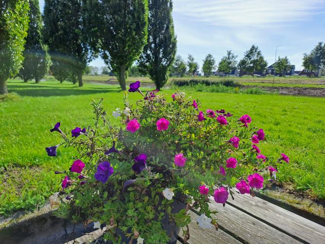 Herfst challenge dag 3/7 