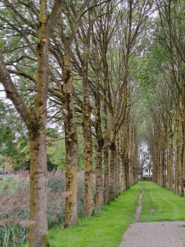 Herfstwandeling 🍁🚶🏼‍♀️