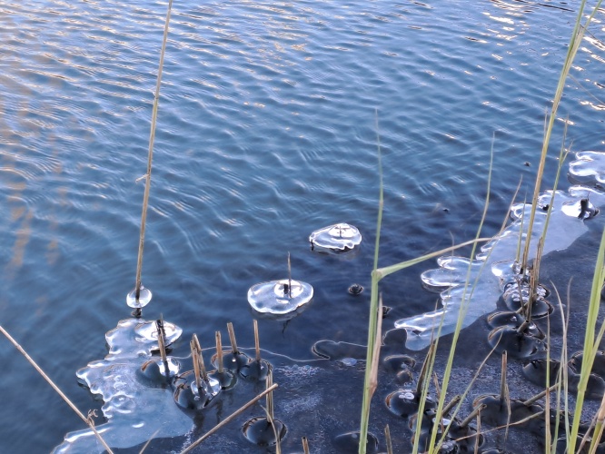 Winterwandeling ❄️