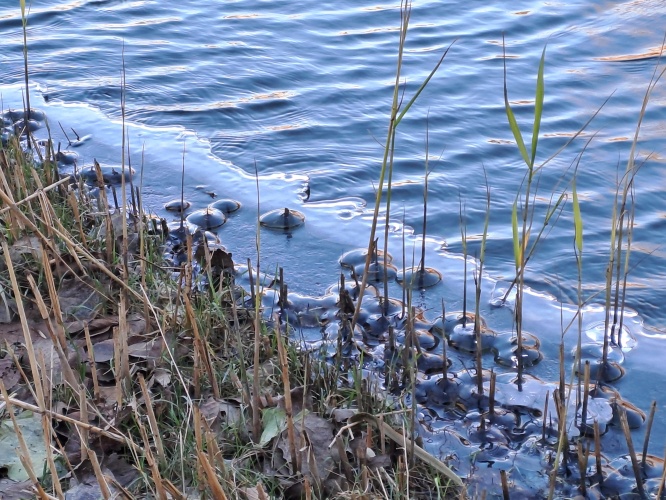 Winterwandeling ❄️