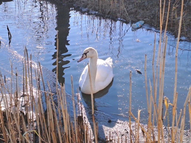 Winterwandeling ❄️