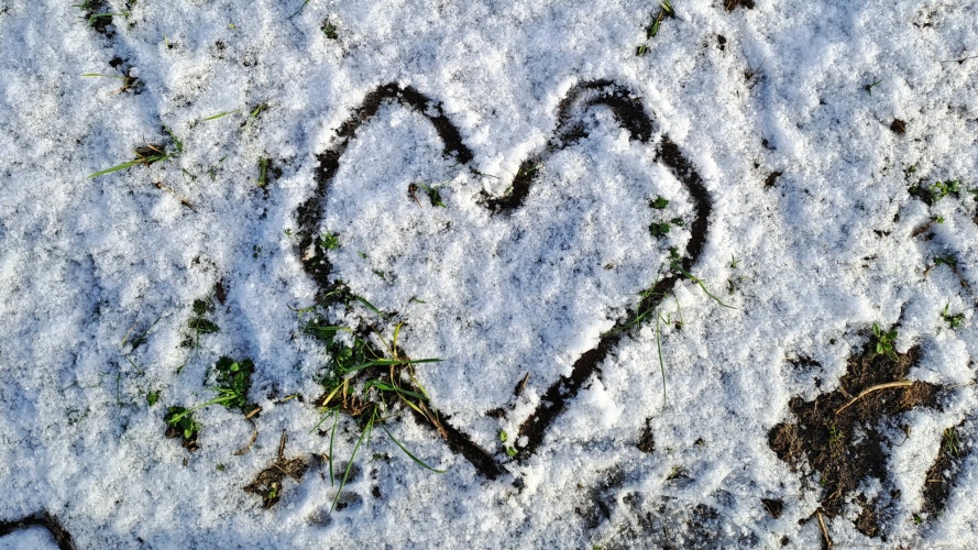 Wederom weer een fijne winterwandeling gehad!