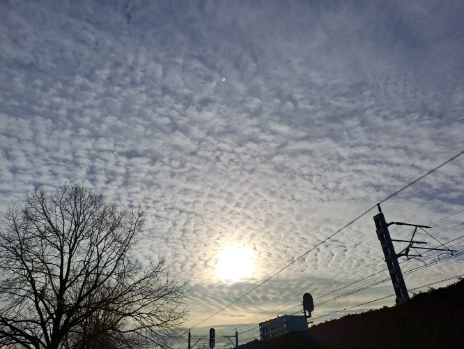 Wederom weer een fijne winterwandeling gehad!