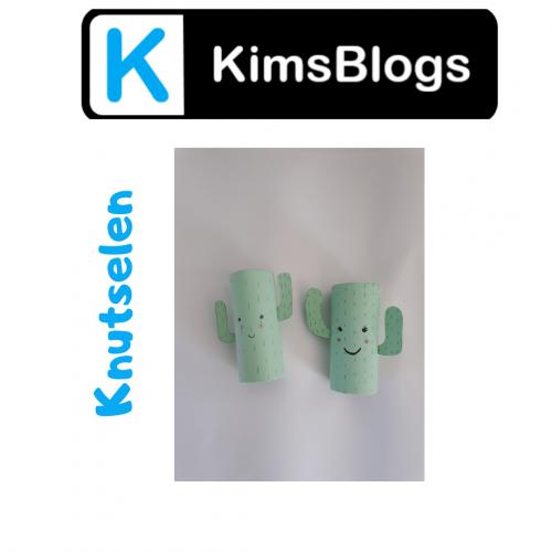 Kawaii Cactus Crafts WC Rolls