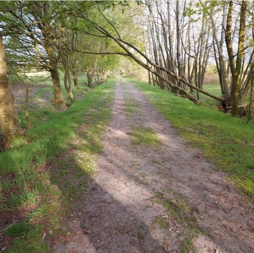 Wandelen in Noord-Brabant - Huis ter Heide