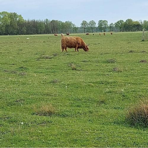Wandelen in Noord-Brabant - Huis ter Heide