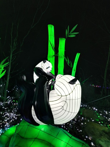 Light Safari Beekse Bergen