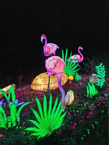 Light Safari Beekse Bergen