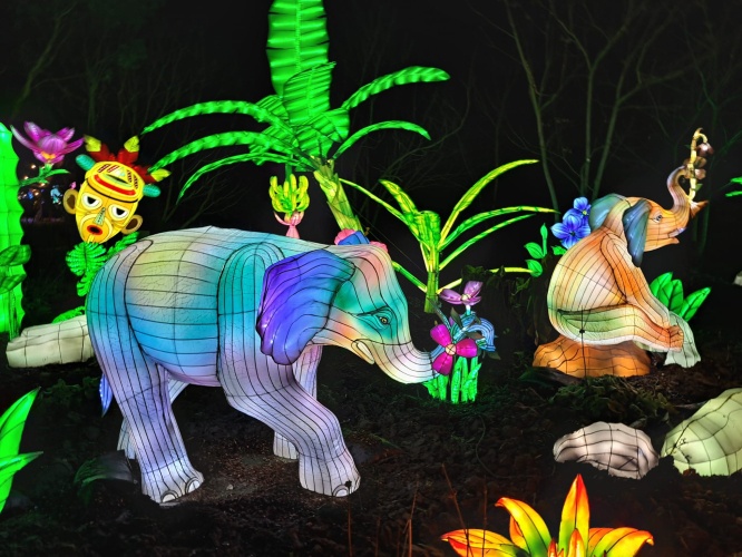 Light Safari Beekse Bergen