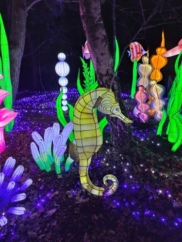 Light Safari Beekse Bergen