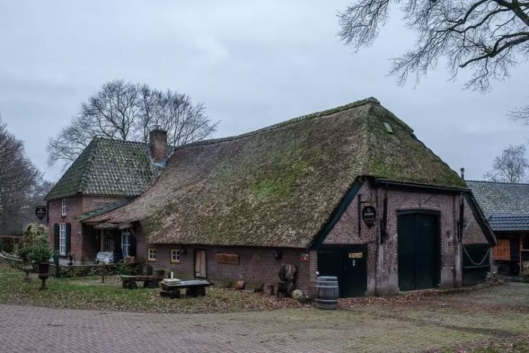 aaltje
