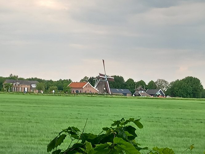 molen in warnsveld