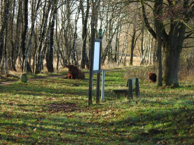 Ma en dochter hooglander.