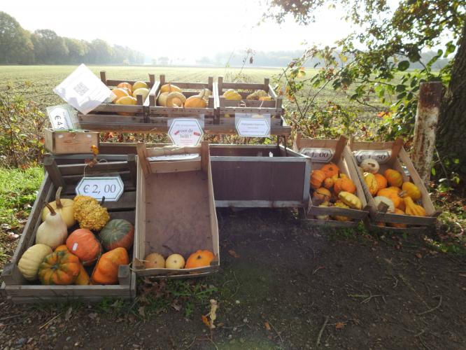 Halloween is now on sale.