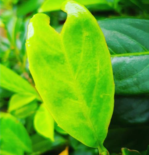 Take care of your fellow man #medeleven