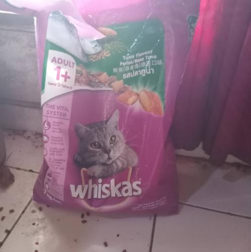 <a class="removable-mention" translate="no" data-mentionid="33595" href="/useroverview/33595/marijke">@marijke</a> Maar het is toch echt Whiskas hoor.