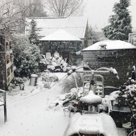 The last traces of autumn are obliterated.