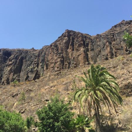 De natuur op Gran Canaria