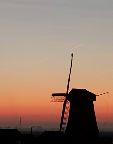 De Nederlandse natuur werkt helend