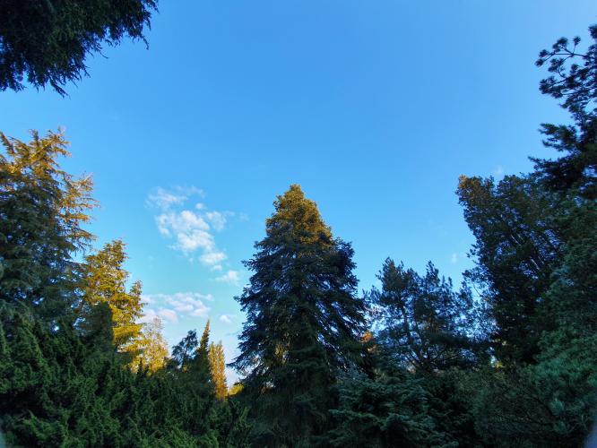 ☆mooiste foto's van het jaar☆