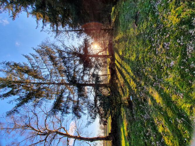 ☆mooiste foto's van het jaar☆