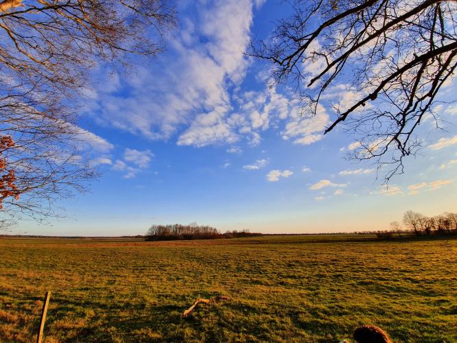 ☆mooiste foto's van het jaar☆