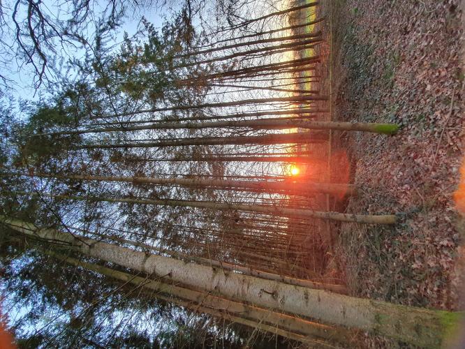 ☆mooiste foto's van het jaar☆