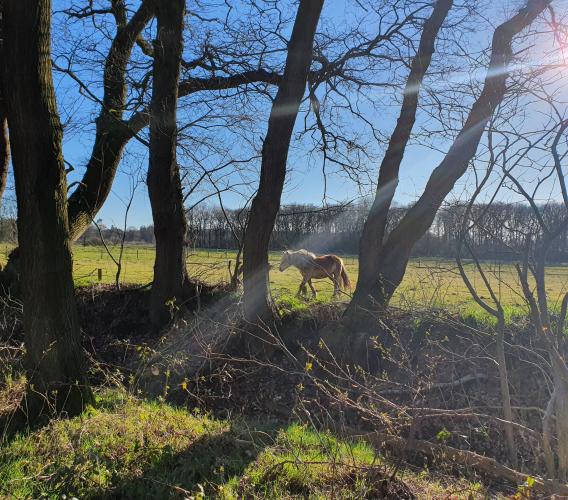 ☆mooiste foto's van het jaar☆