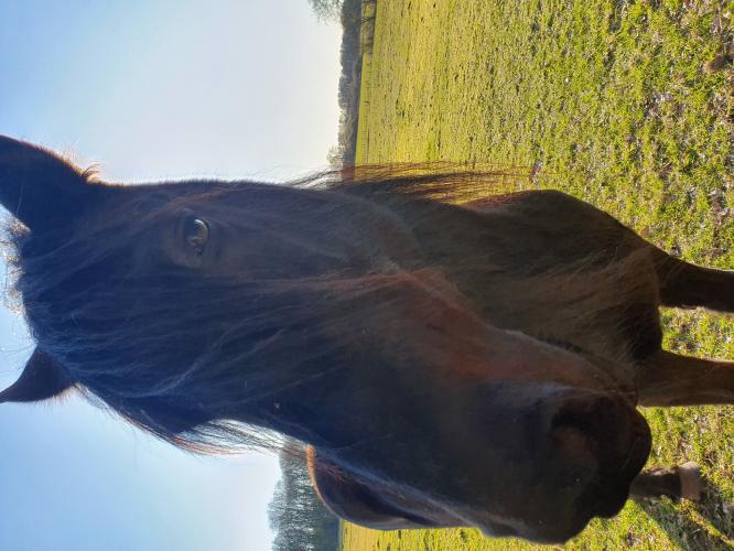 ☆mooiste foto's van het jaar☆