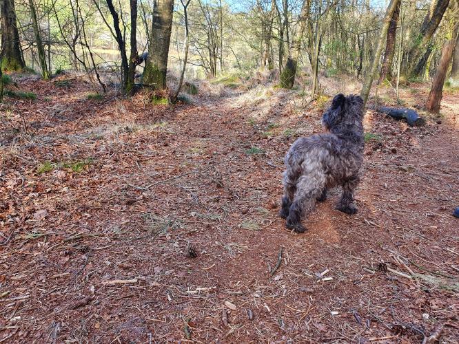 ☆mooiste foto's van het jaar☆