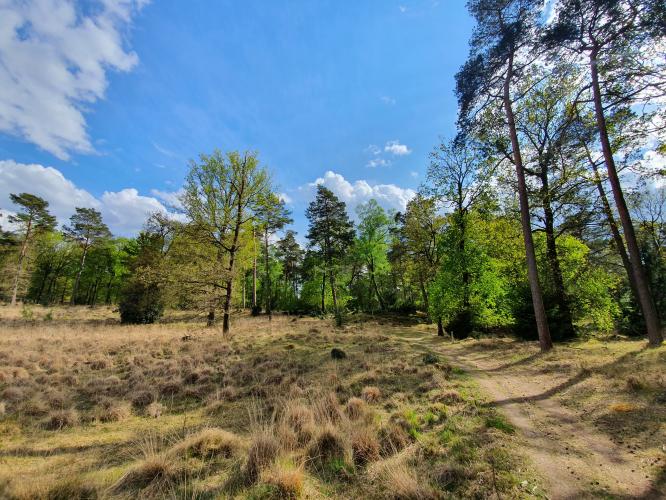 ☆mooiste foto's van het jaar☆