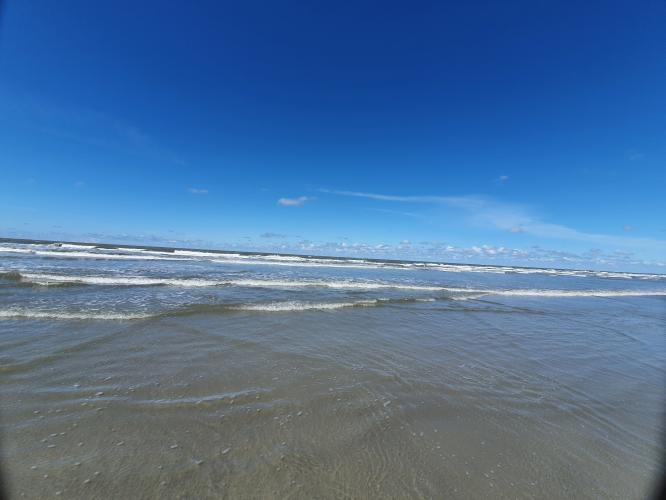 ☆mooiste foto's van het jaar☆