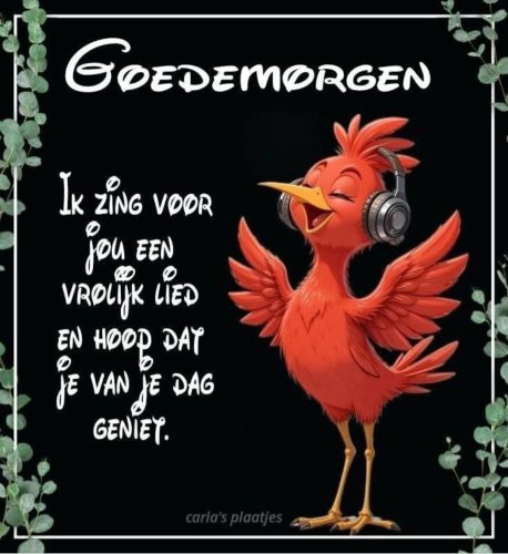 Beetje vals maar goed bedoeld......