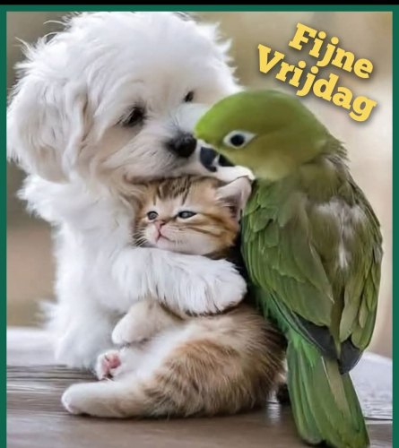 Lief hé......