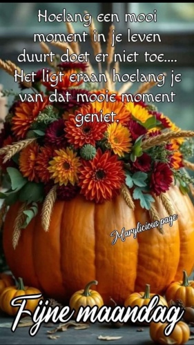 Dit is zeker waar.......