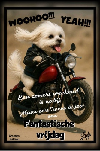 Dat wordt weer veel water drinken.......