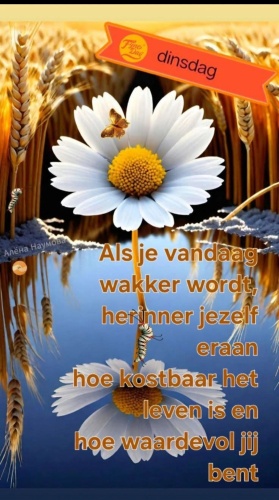 Helemaal mee eens.....