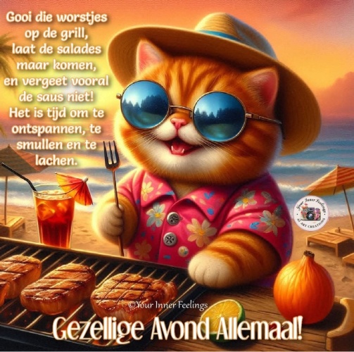 Wij hebben heerlijk gesmikkeld van de bbq!!