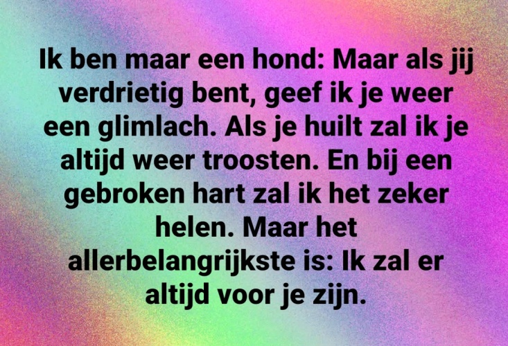 En dat is helemaal waar.......