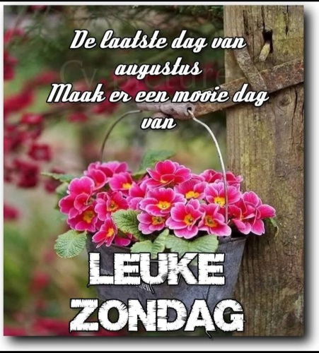 Ga ik ook doen......