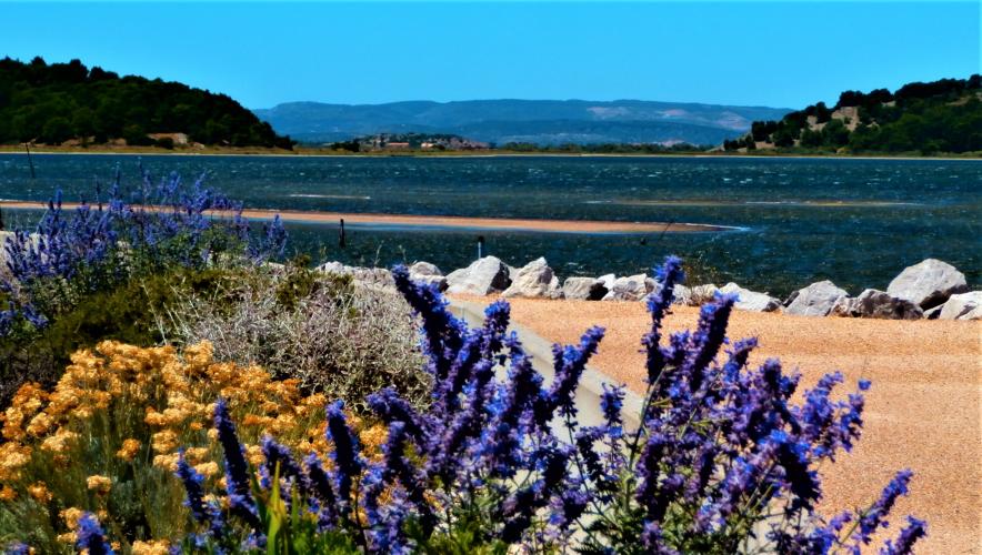 <a class="removable-mention" data-mentionid="157225" href="/useroverview/157225/Adriana">@Adriana</a> Beautiful and quiet place in the south of France : Gruissan. This one was in the neighbourhood too