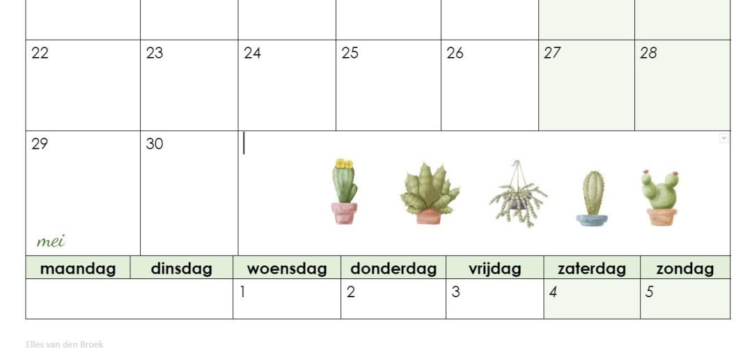 Is het normaal dat in de Word-versie de cactusjes niet in de kadertjes per maand staan ? Die zijn leeg. De afbeeldingen staan allemaal op een rijtje bij april en mei. De hele lay-out klopt daardoor niet meer.