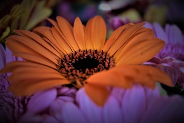 Anders zijn... soms gewoon mooi.