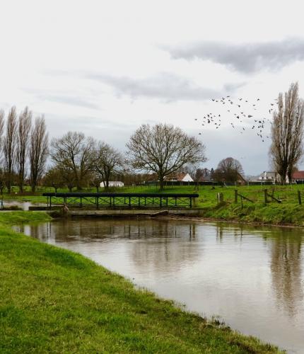 De laatste wandeling van 2022