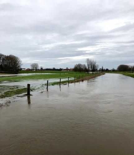 De laatste wandeling van 2022